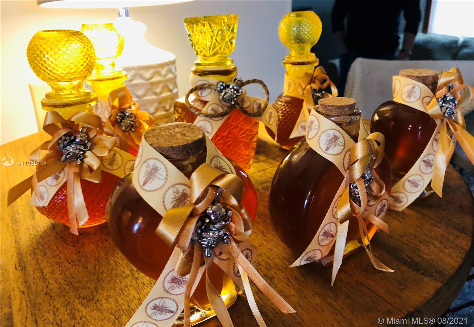 MERIDA YUCATAN - Land