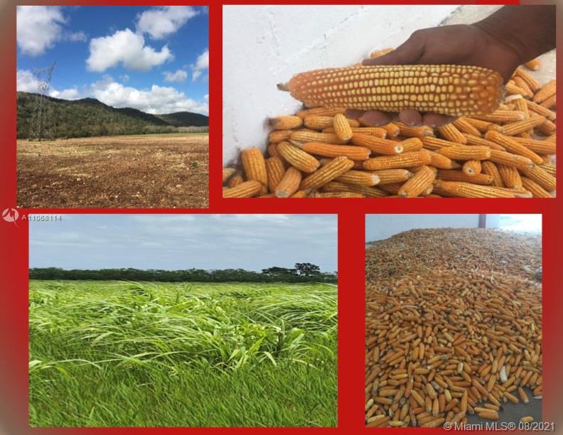 MERIDA YUCATAN - Land