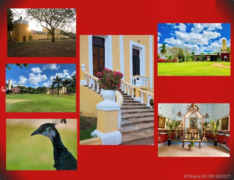 MERIDA YUCATAN - Land