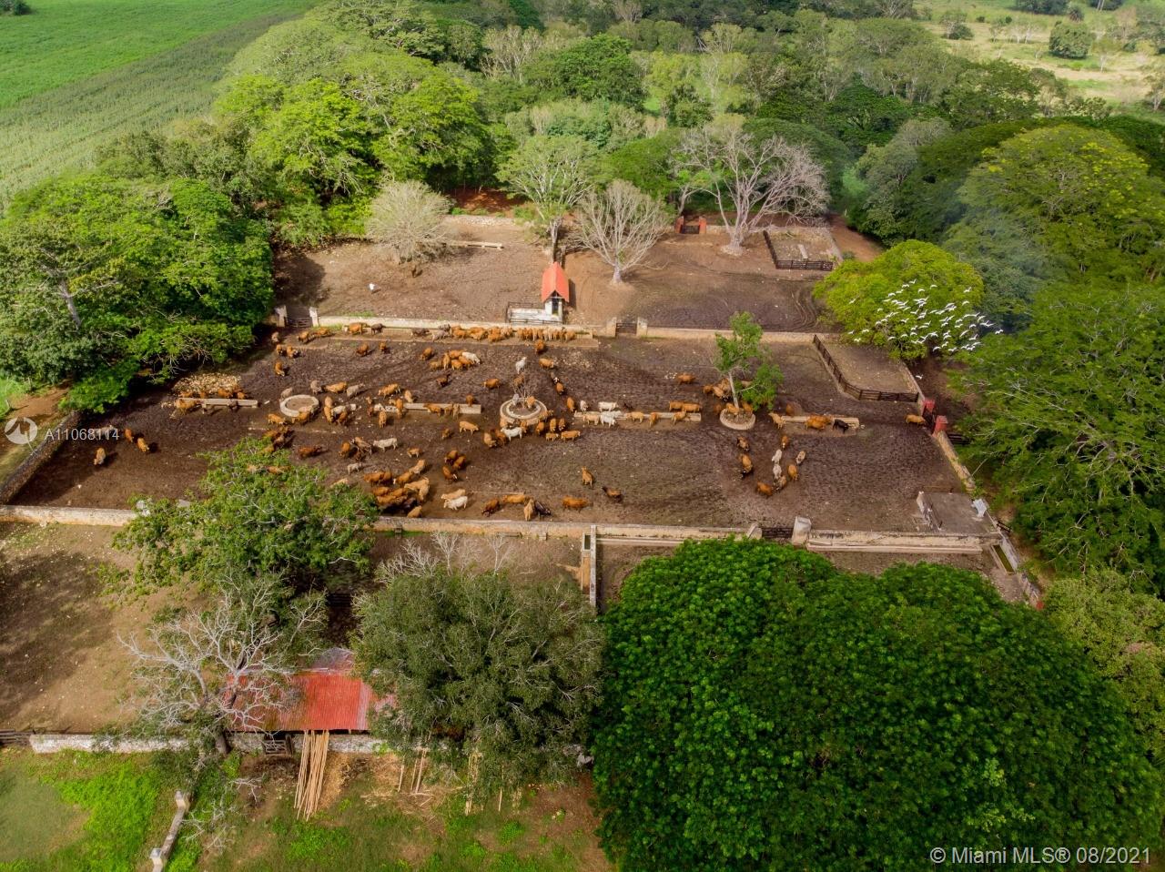 MERIDA YUCATAN - Land