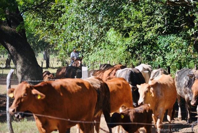 MERIDA YUCATAN - Land