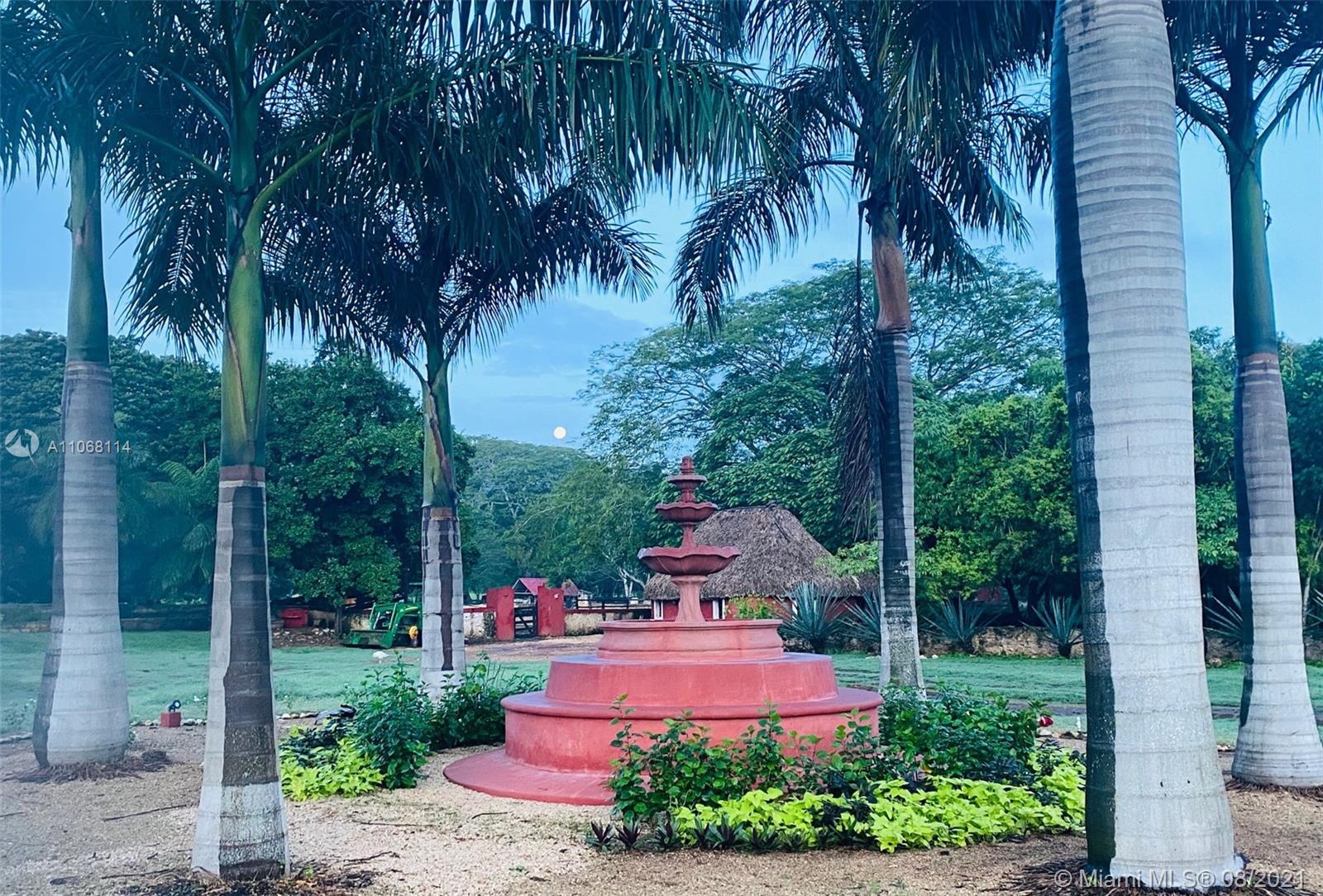 MERIDA YUCATAN - Land