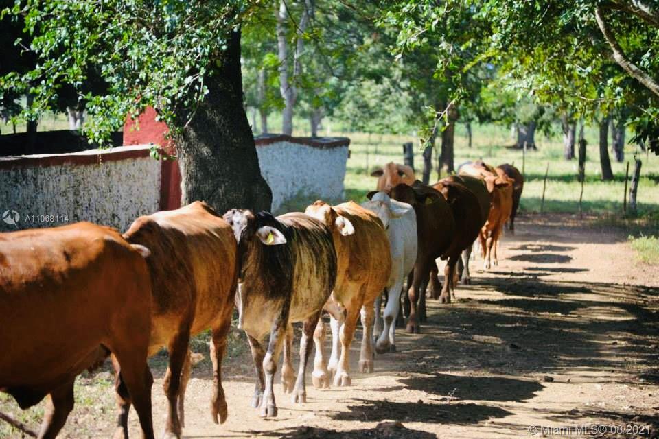 MERIDA YUCATAN - Land