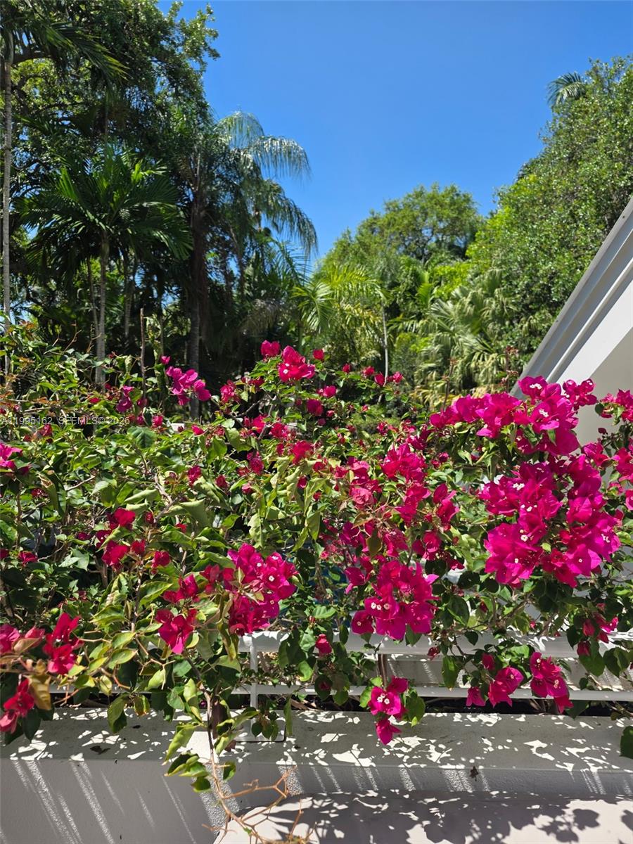 RHODES AMD NEW BISC - Residential Lease