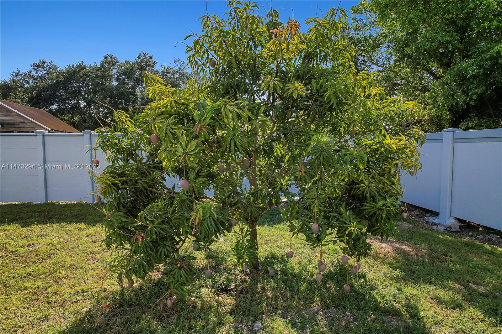 HORSE COUNTRY - Land