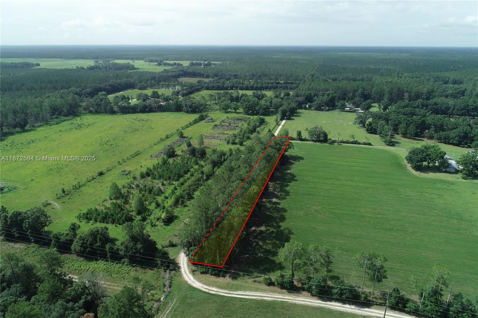 .9-acre corner lot just 10 min north of Waldo & 30 min to Gainesville! Approx. 65 x 610 ft, with power at the road (well/septic needed). Not in a flood zone, no wetlands, no HOA. Enjoy nearby Lake Hampton—fisherman’s paradise! A small structure on site needs removal, offering a clean slate for your new land. Great mix of rural privacy & easy access to town.