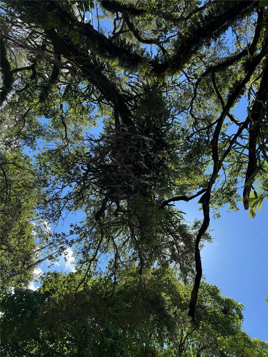 FULFORD HIGHLANDS - Land