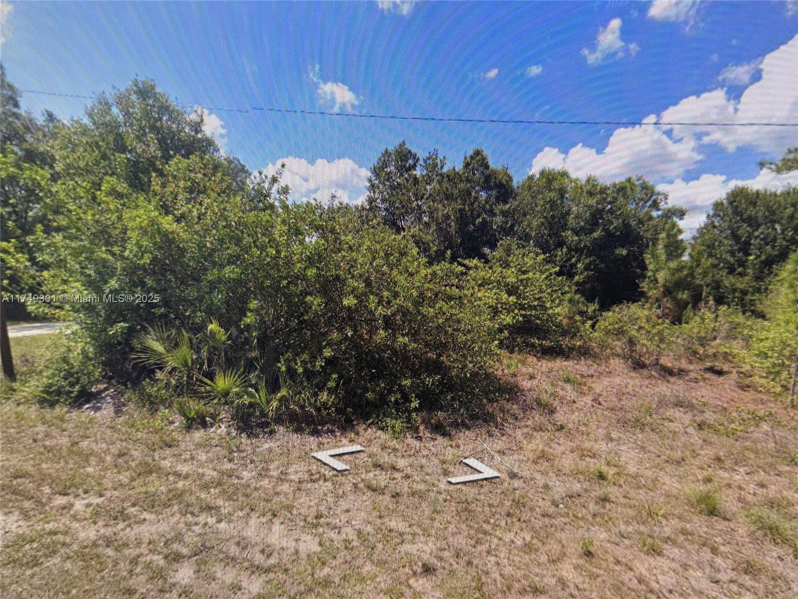 LEHIGH ACRES UNIT 4 BLK 14 - Land