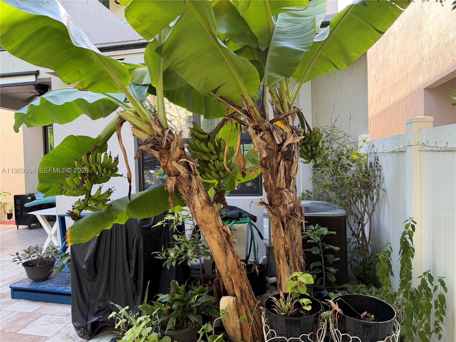 RESIDENCES AT PALM AIRE - Residential