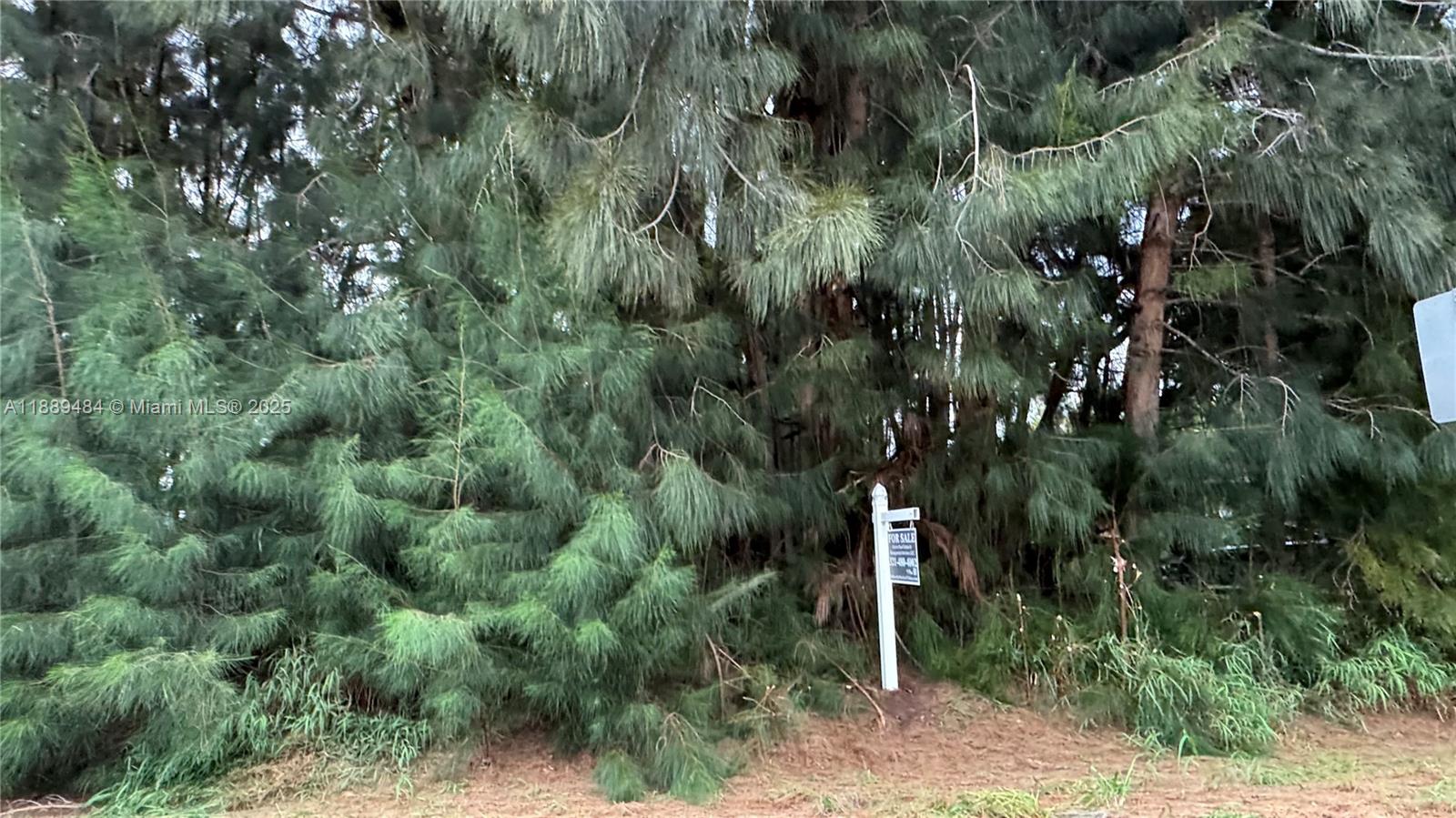 PARADISE PARK - Land