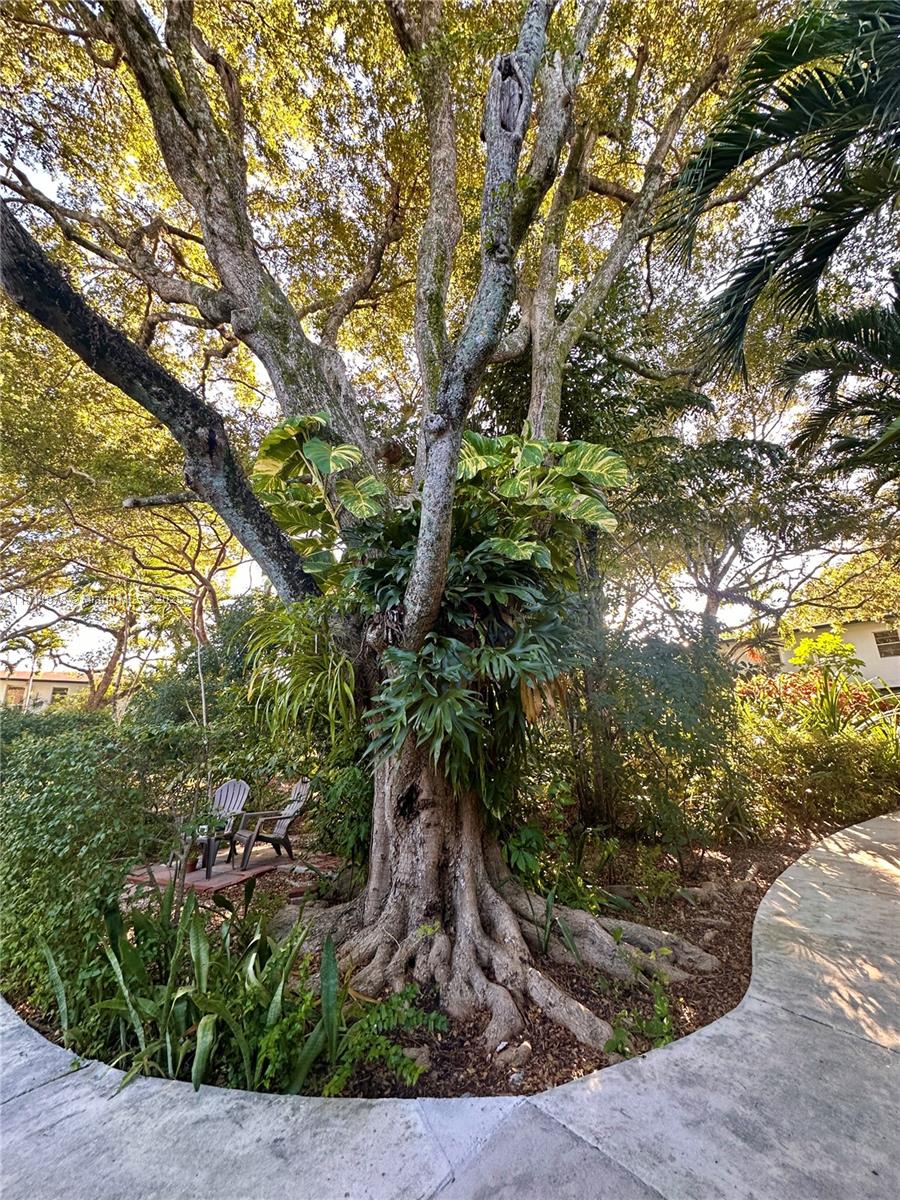 7940 SW 55th Ave 67D