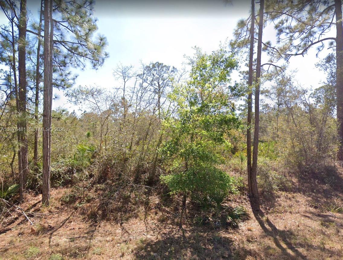 LEISURE LAKES S - Land