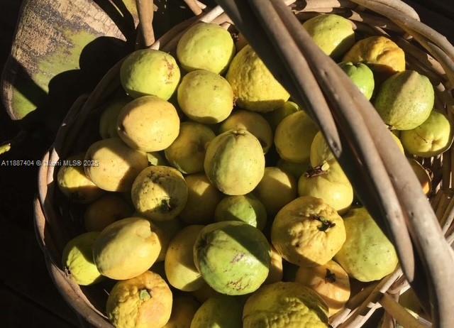 REDLAND 2.02 AC POOL PLUS - Residential