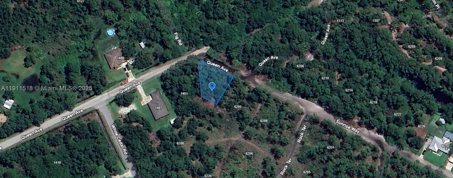 ORANGE BLOSSOM - Land