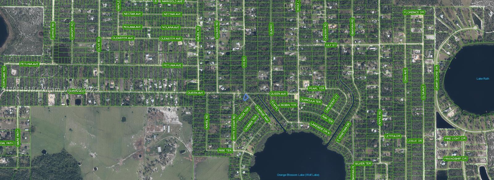 ORANGE BLOSSOM - Land