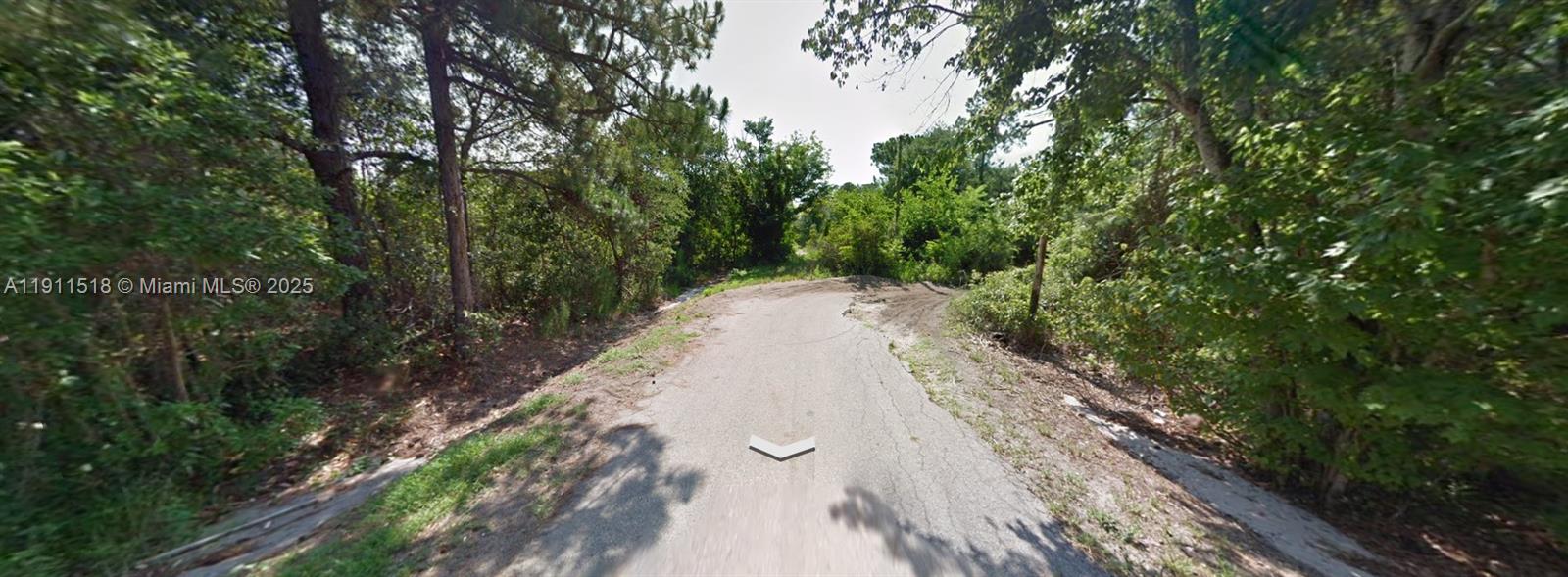 ORANGE BLOSSOM - Land