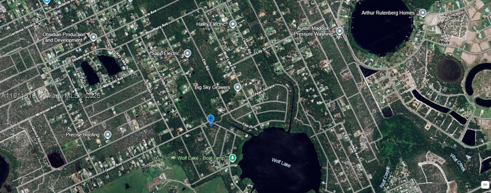 ORANGE BLOSSOM - Land