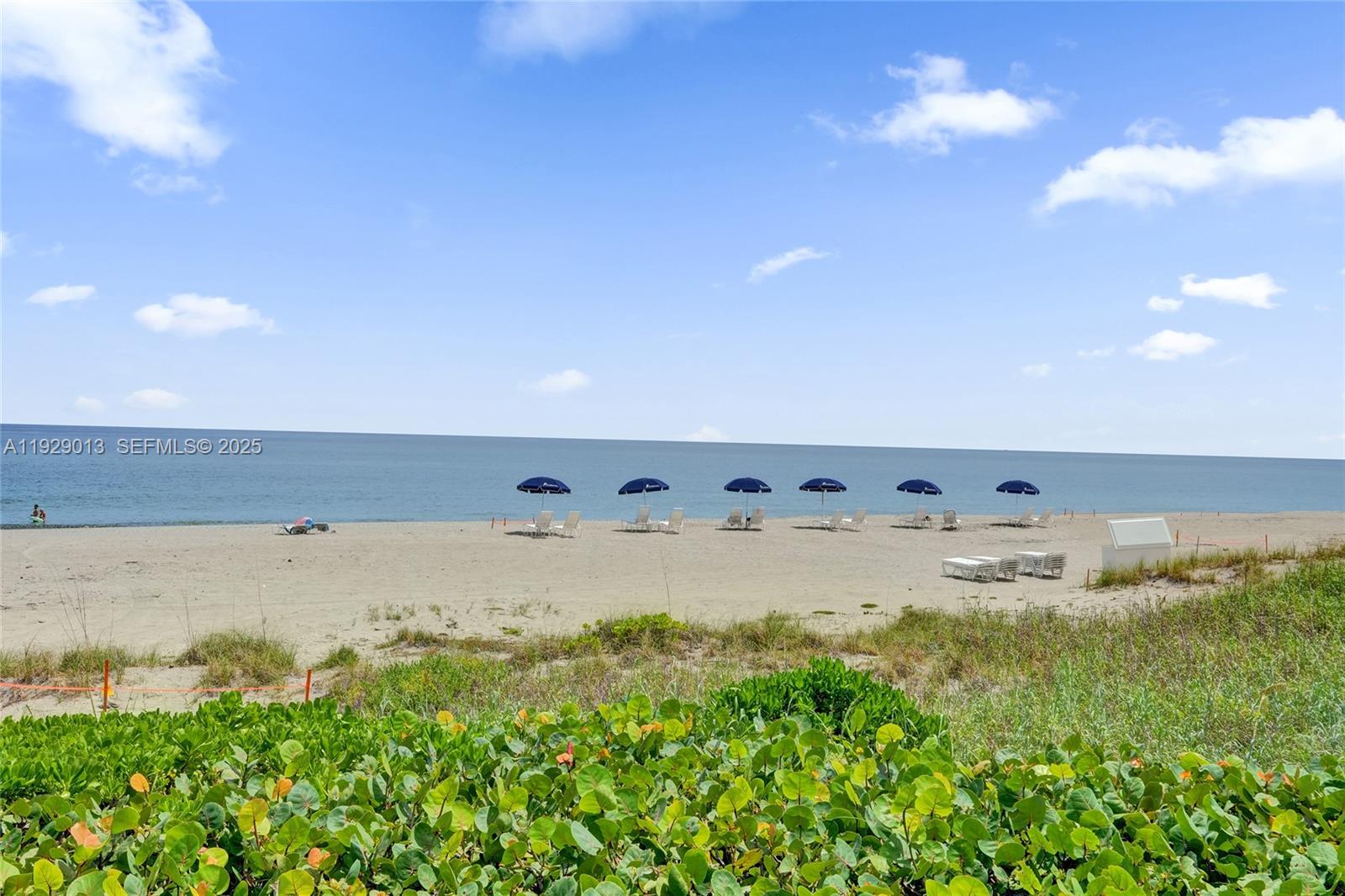 CHALFONTE CONDO - Residential