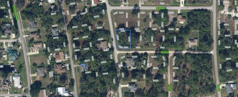 216 Silver Court Lake Placid FL 33852