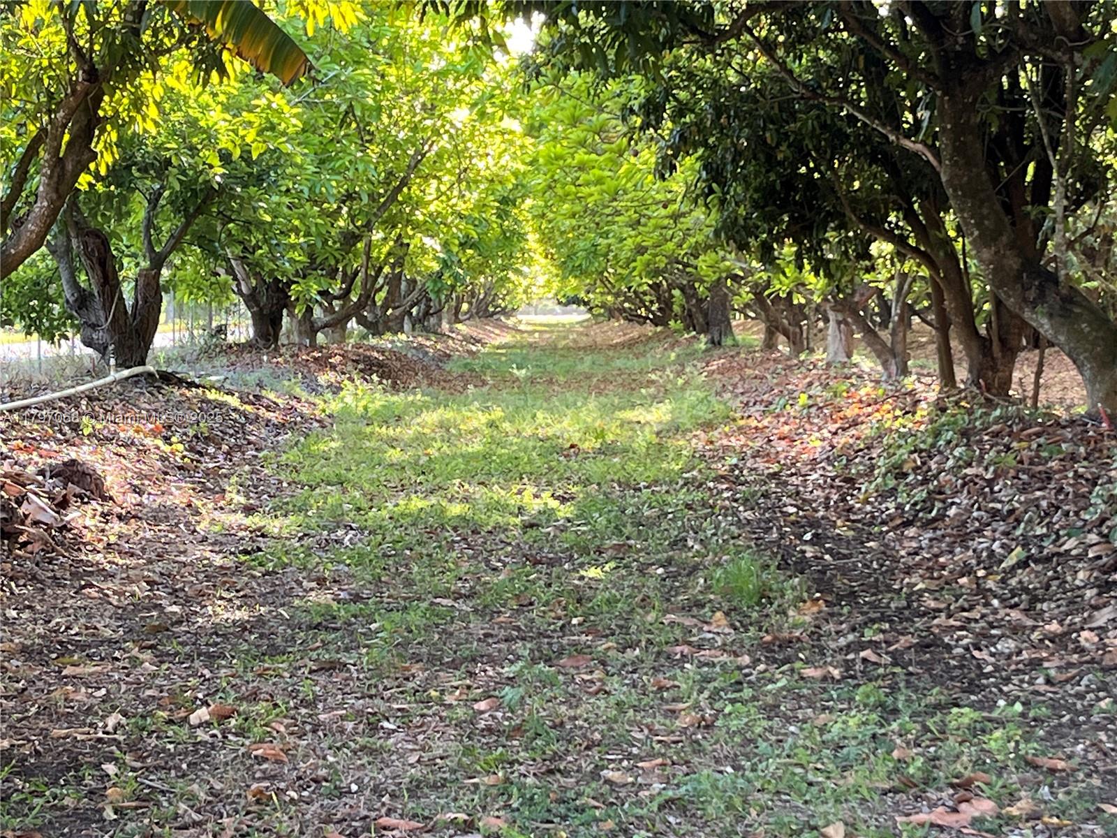 REDLAND AGRI 11.71 ACRES - Land