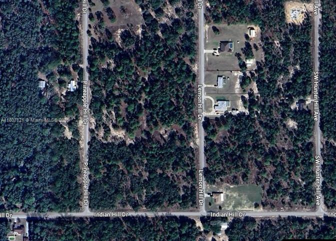 VACANT RESIDENTIAL LOT, 1.01 ACRES IN DUNNELLON, FL. GREAT INVESTMENT OPPORTUNITY!!! ALL INFORMATION FROM THE SELLER AND MUST BE VERIFIED BY THE BUYER!