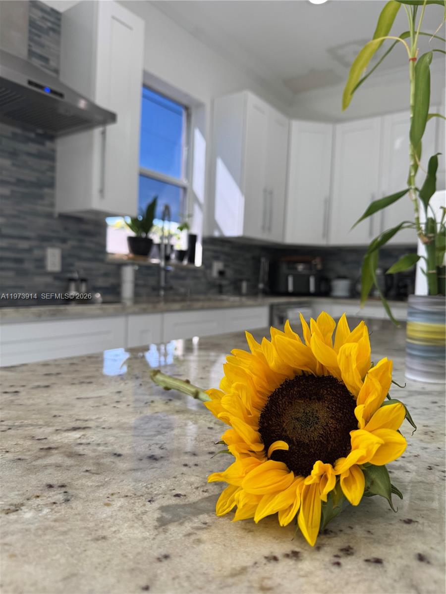 LAKES AT PEMBROKE - Residential