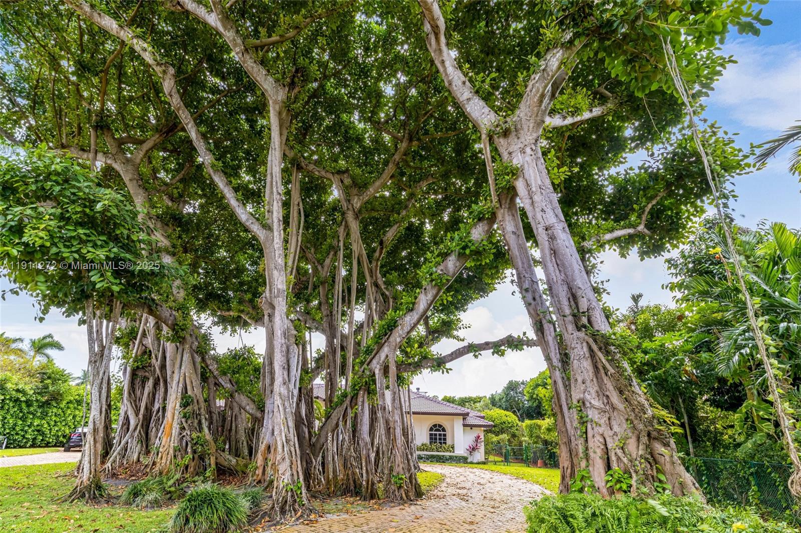 PINECREST MANSIONS - Residential