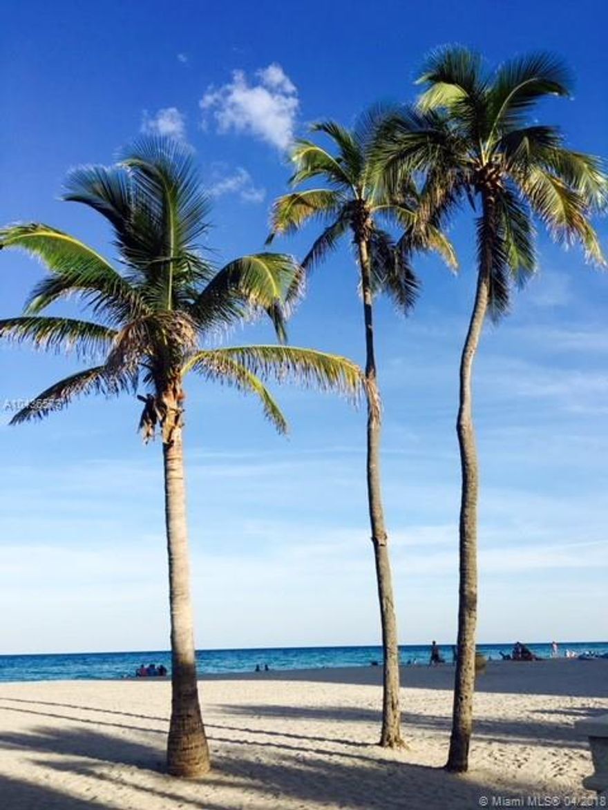 PERFECT LOCATION!! MOVE IN READY 1 BED/ 1 BATH FRESHLY PAINTED, CAN BE RENTED FURNISHED, WAITING FOR NEW TENANT. WALKING DISTANCE FROM OUR BEAUTIFUL HOLLYWOOD BEACH. RENT INCLUDE WATER, SEWER, CABLE, ELECTRICITY, WIFI AND HAS PARKING SPACE AS WELL. MIN 6 MONTHS
