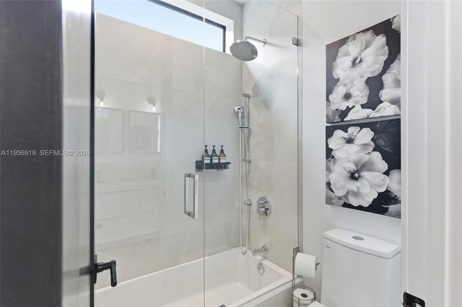 BUENA VISTA - Residential