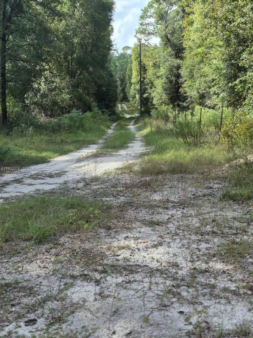 Spacious vacant lot located at 2390 NW 65th Ave, Bell, FL 32619, offering a great opportunity to build or place a home in a quiet rural setting. The property provides ample space for a new construction home, manufactured home, or future investment, with utilities already present on site. Enjoy peaceful country living with plenty of room for outdoor space, gardening, or recreational use. Conveniently located with easy access to local amenities while still maintaining privacy and open surroundings. Value is in the land. Property sold as-is.