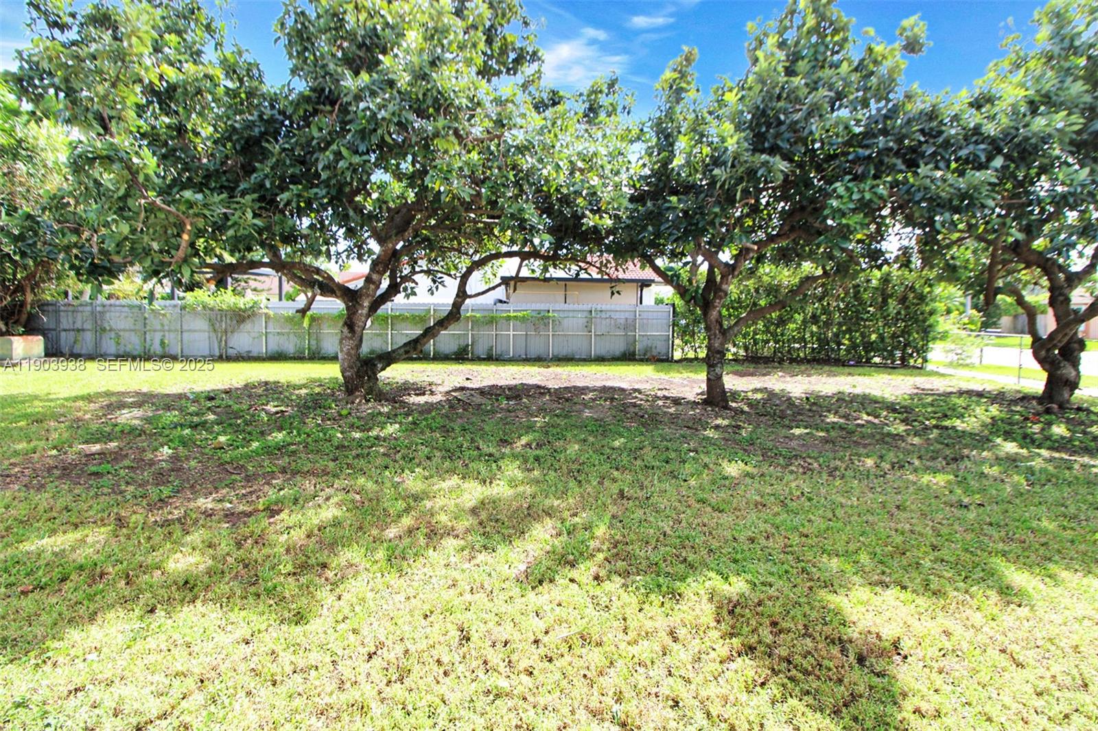 SPRINGER GROVE 1ST ADDN - Residential