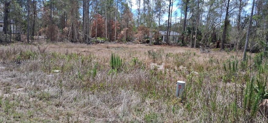 Excellent Opportunity to Build a Dream Estate or Obtain Authorization to Build, Land of 14,471 Square Feet, You Can Build a Single-Family Home, don't miss the opportunity to develop your own project. for more information call listing agent.