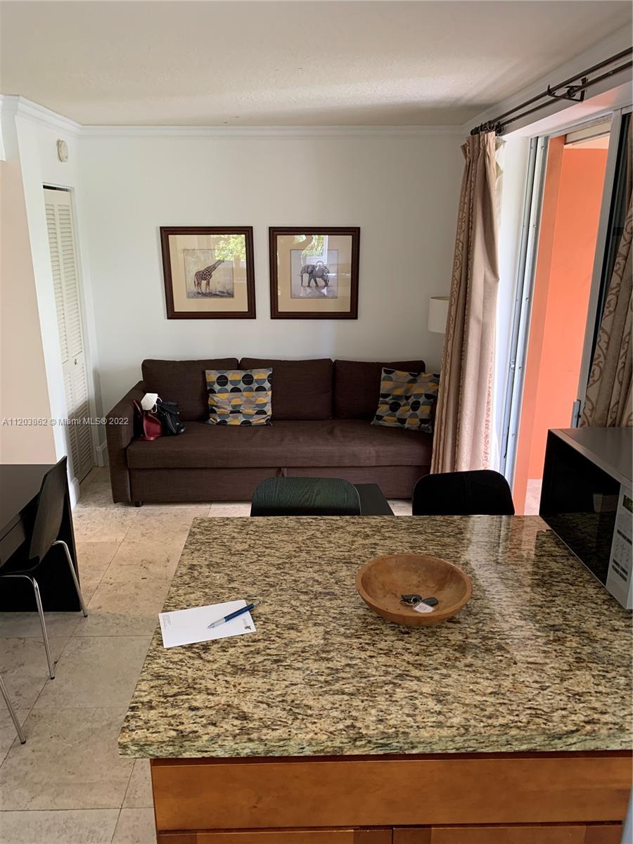 2951 S Bayshore Dr 417