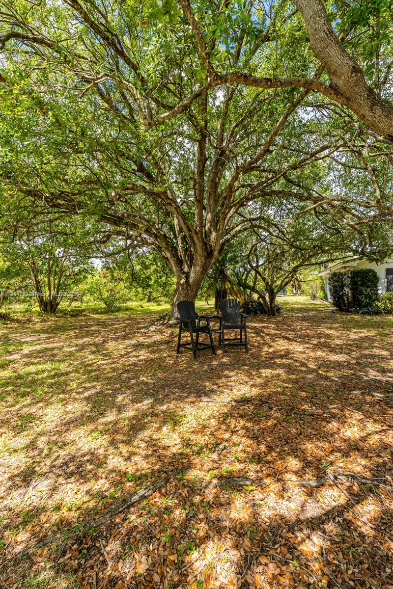 REDLAND CITRUS ORCHARDS S - Residential