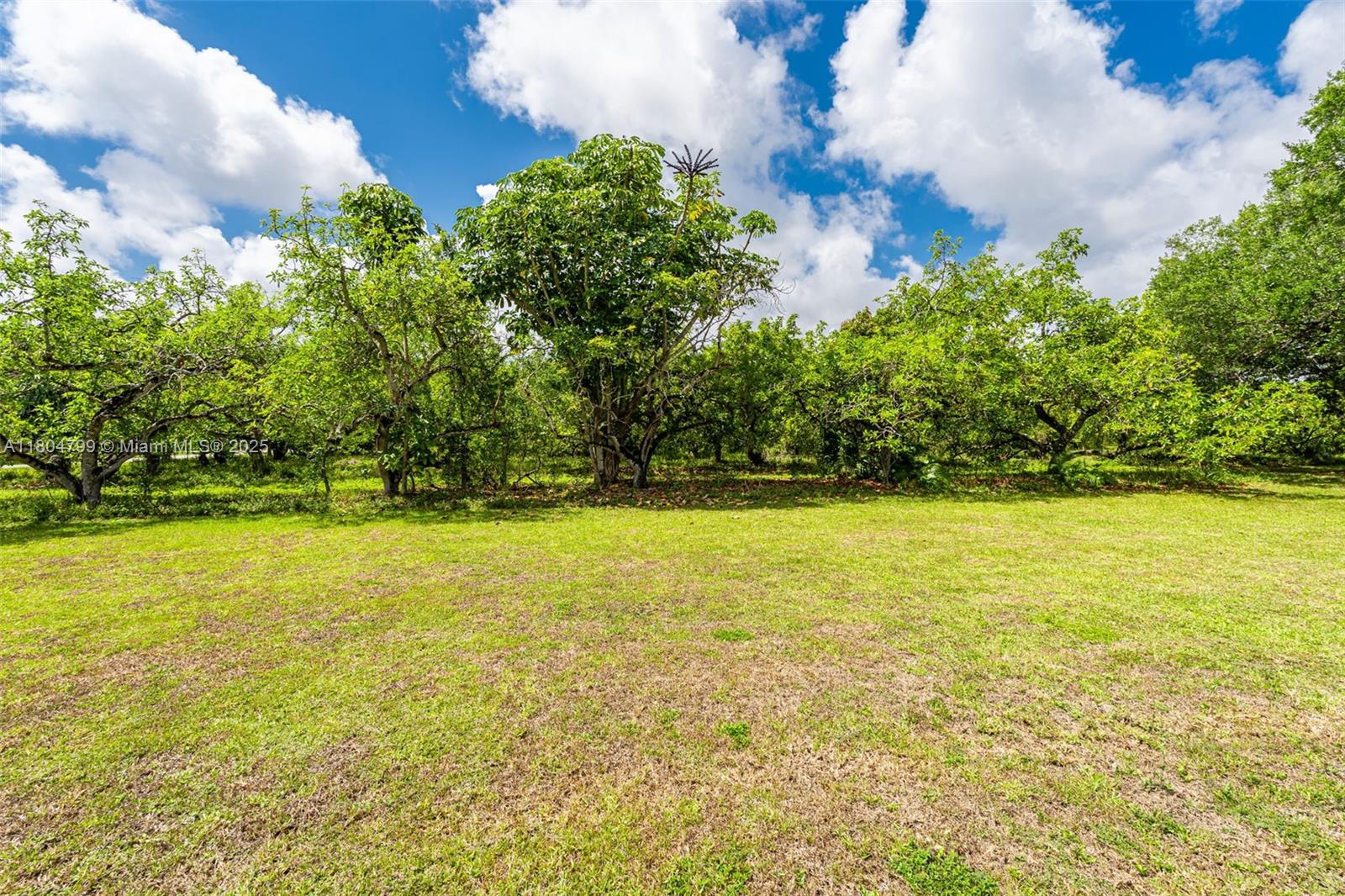 REDLAND CITRUS ORCHARDS S - Residential