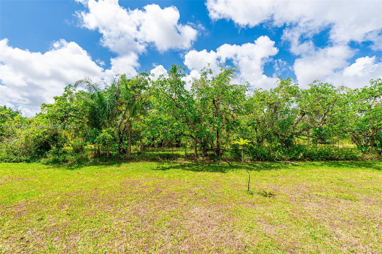 REDLAND CITRUS ORCHARDS S - Residential