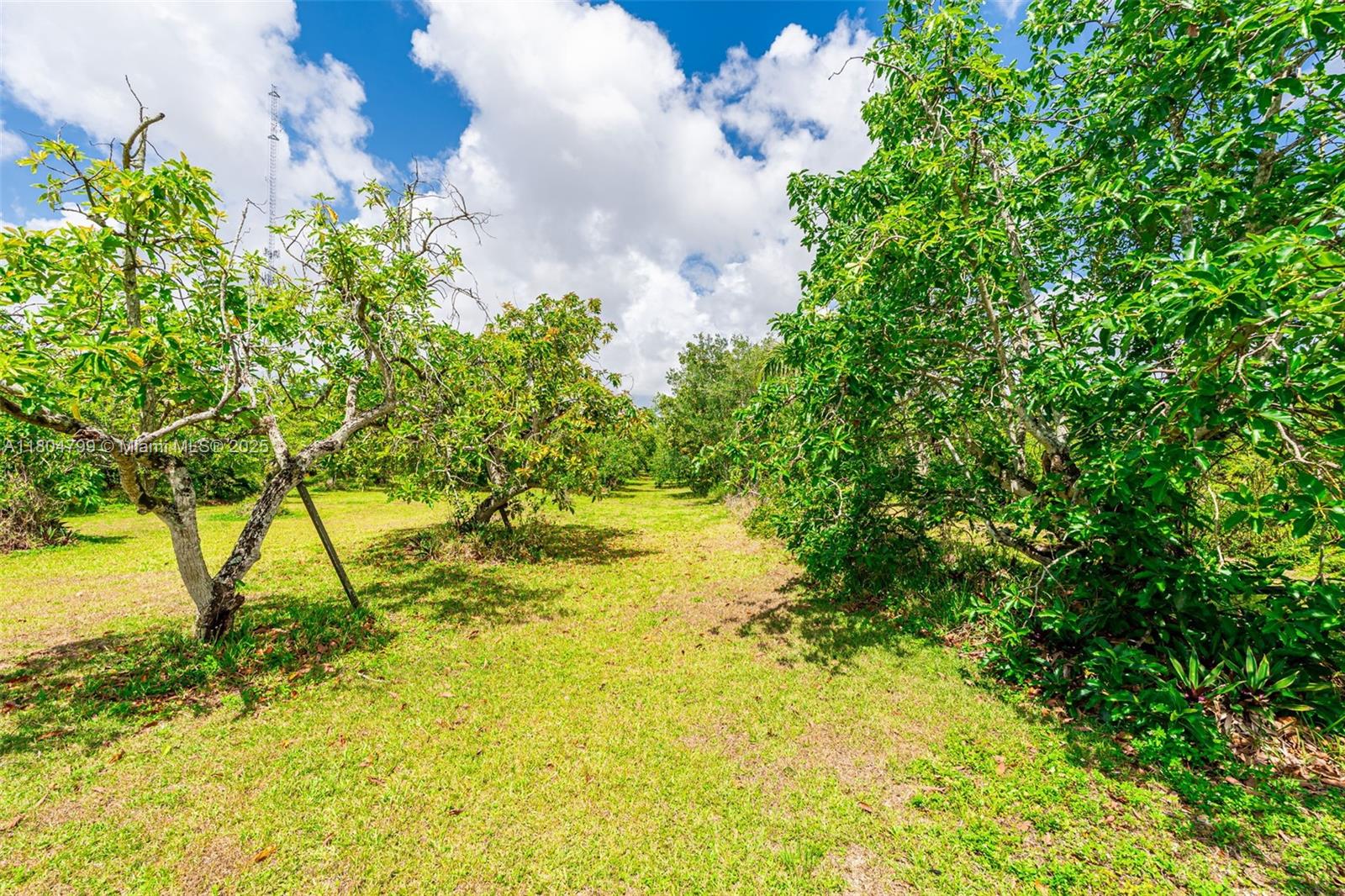 REDLAND CITRUS ORCHARDS S - Residential