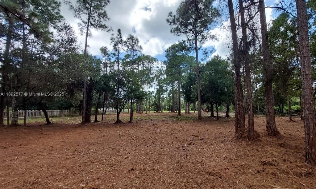 Montura Ranch Estates - Land