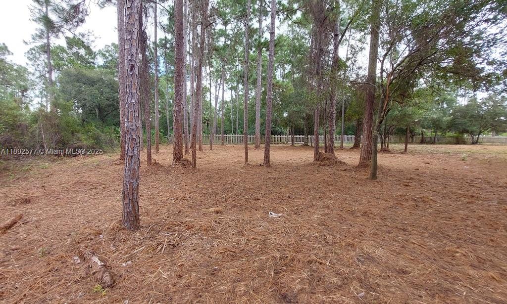 Montura Ranch Estates - Land