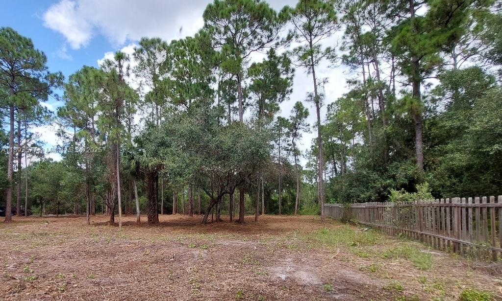 Montura Ranch Estates - Land