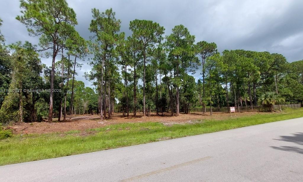 Montura Ranch Estates - Land