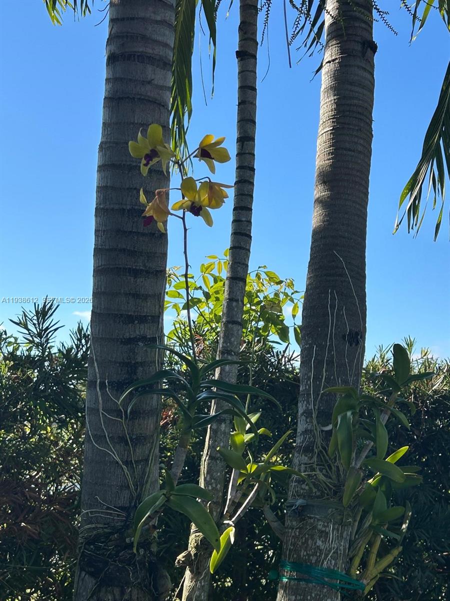 LAKEWOOD ESTS - Residential