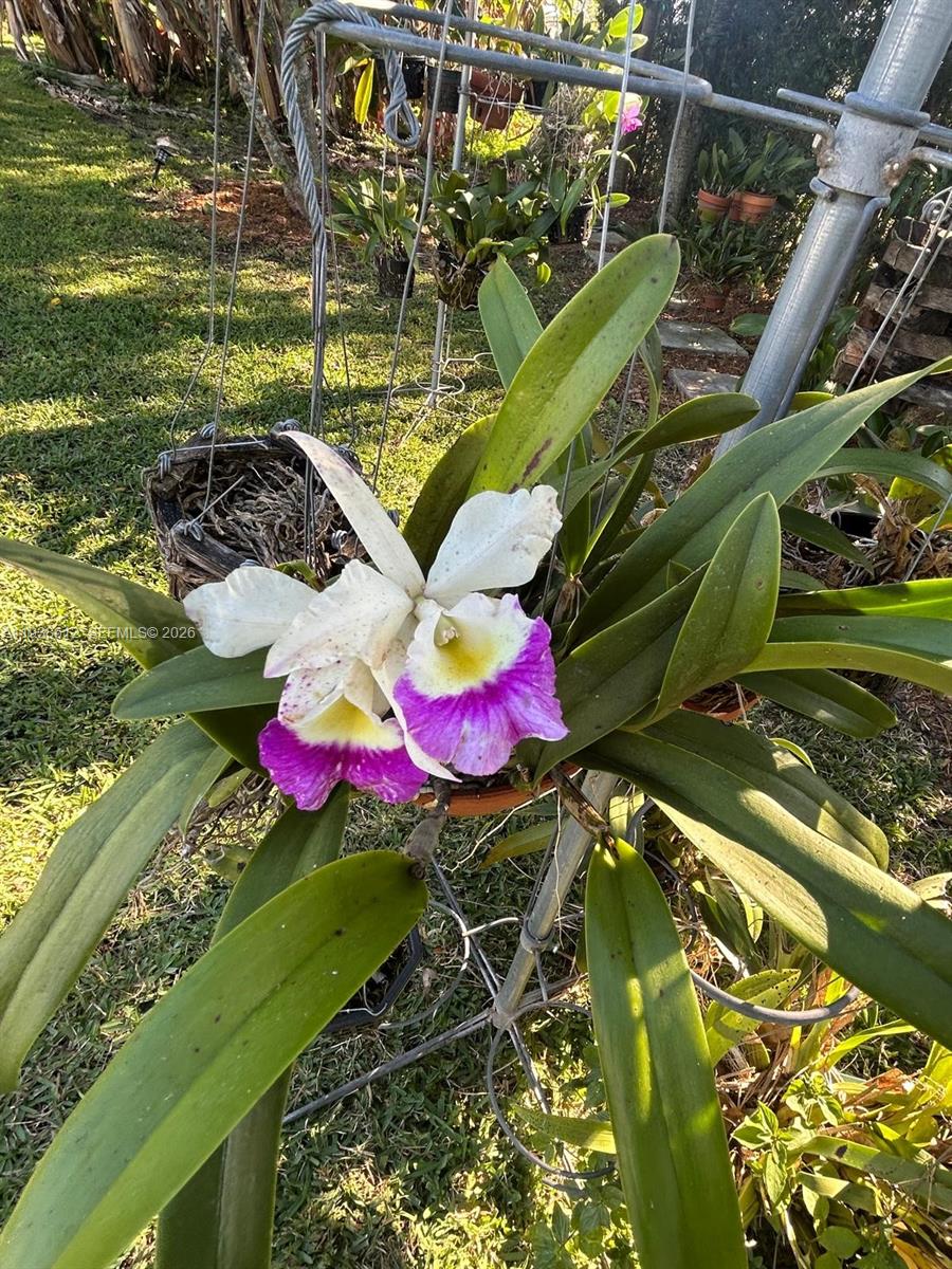 LAKEWOOD ESTS - Residential