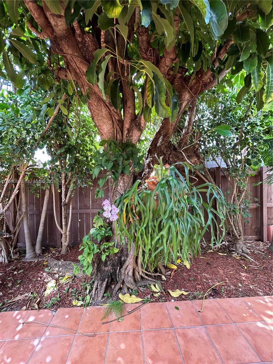 POINCIANA POINTE PHASE 1 - Residential Lease