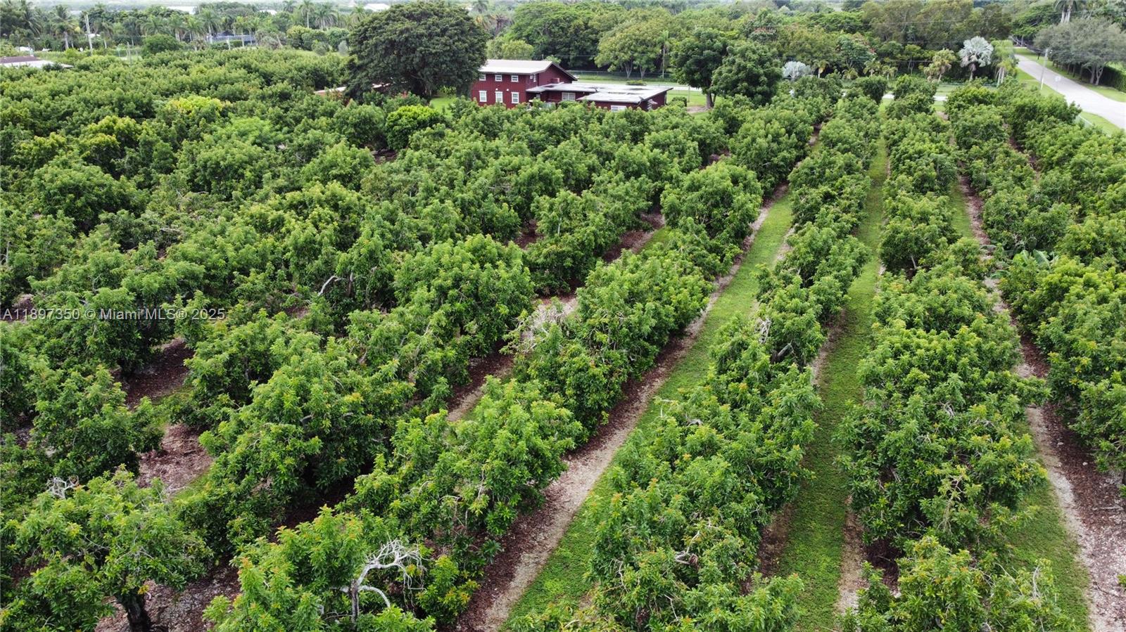 Redland - Residential Lease