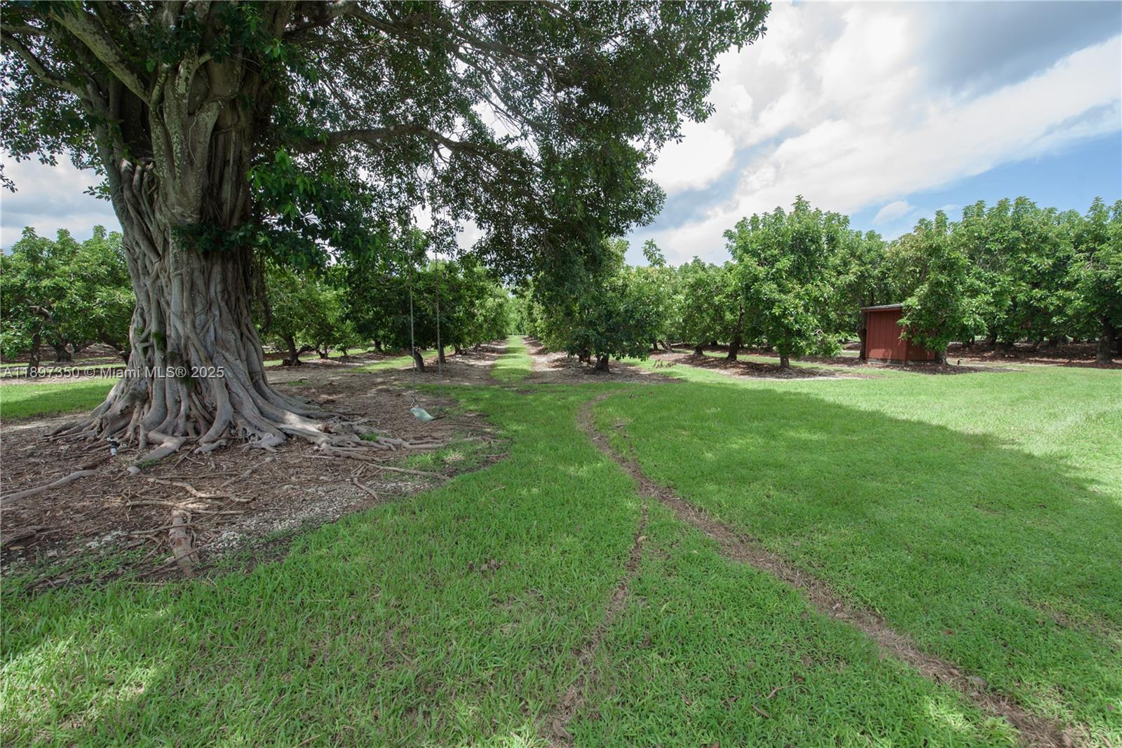 Redland - Residential Lease