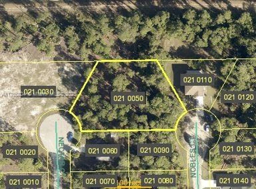 Must see oversized lot, .72 of an acre. This incredible Lot we have to offer has access to Nectar Ct and Nobles Ct. Situated in a fantastic area of Lehigh Acres. Enjoy an easy commute to town, where you'll find all the amenities Lehigh Acres has to offer, including shopping, schools, and places of worship. Don't miss the opportunity to build your dream home here!