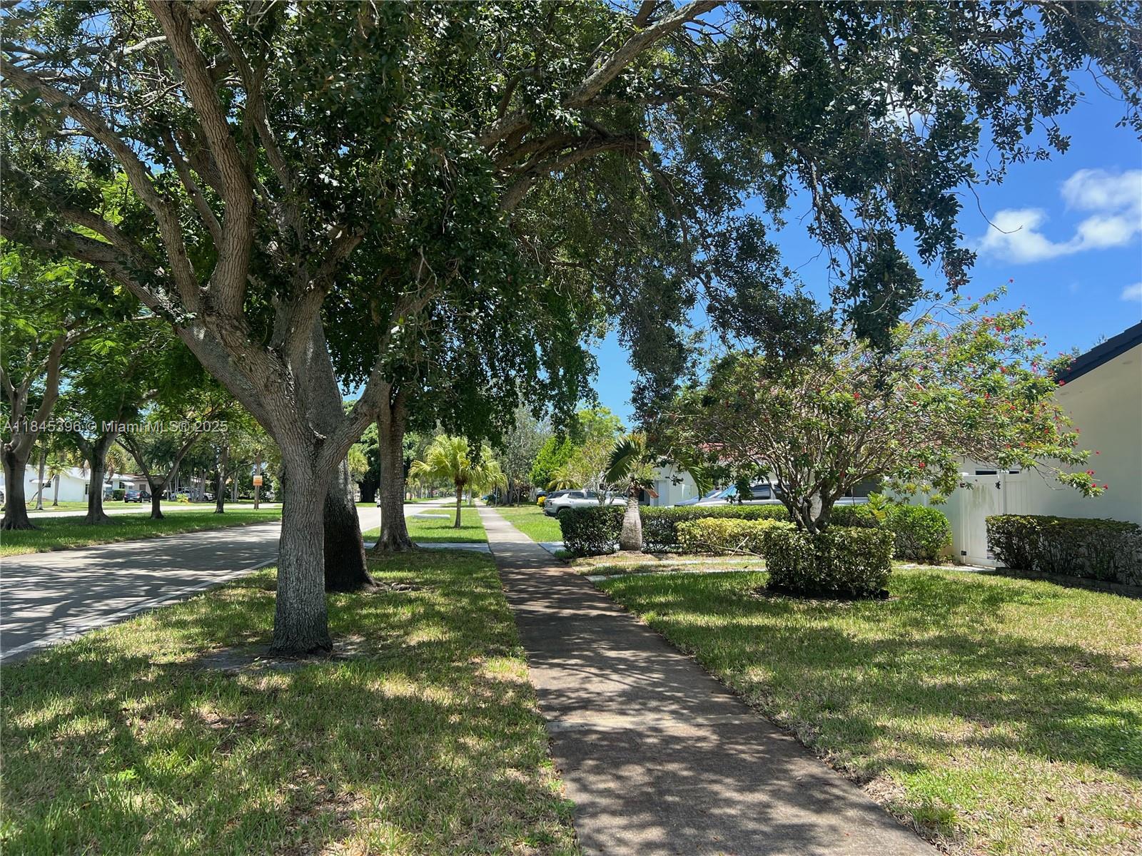 HOLLYWOOD HILLS - Residential