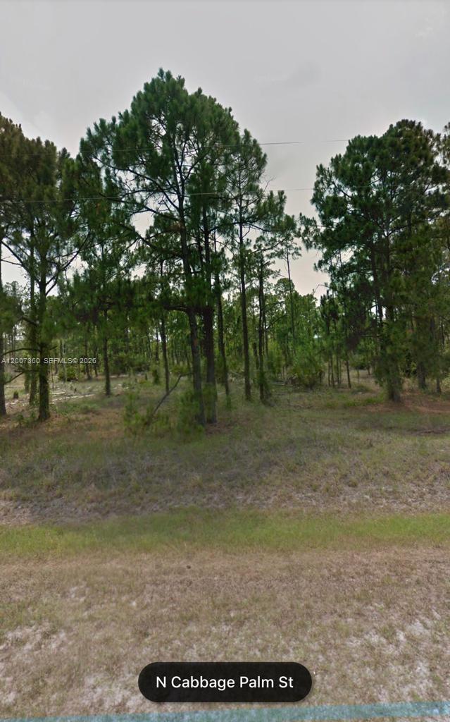 Montura Ranches - Land