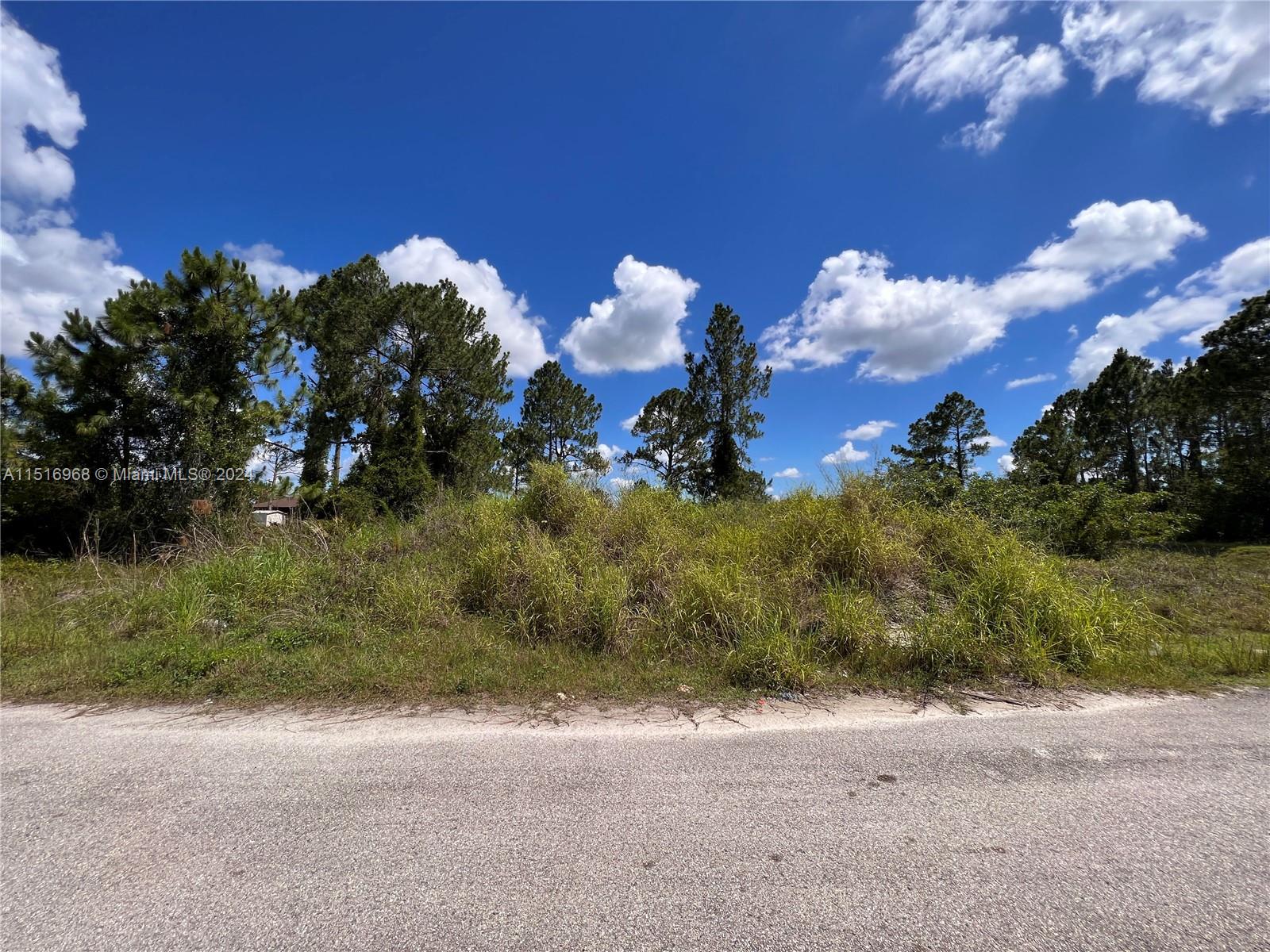 Lehigh Acres - Land